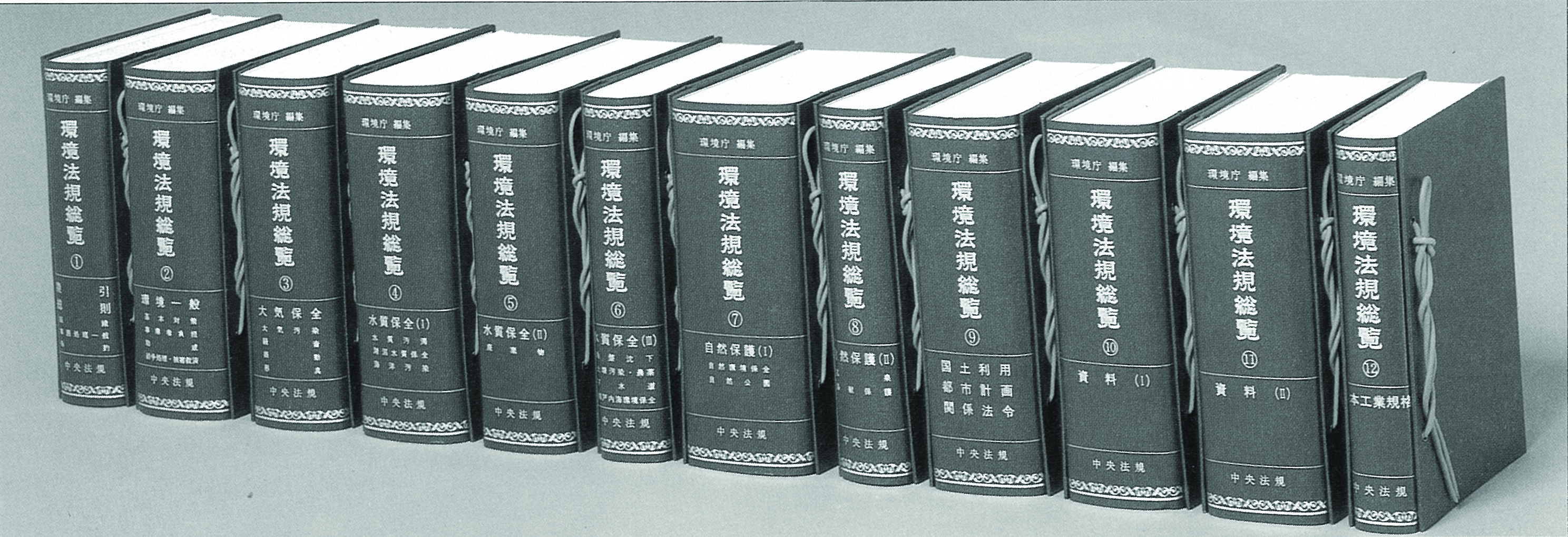 環境法規総覧 全16巻